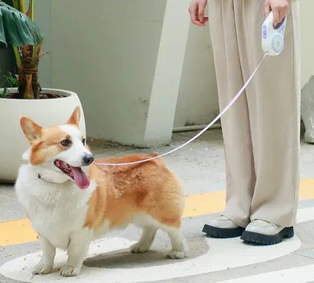 Automatic Extendable LED Dog Leash