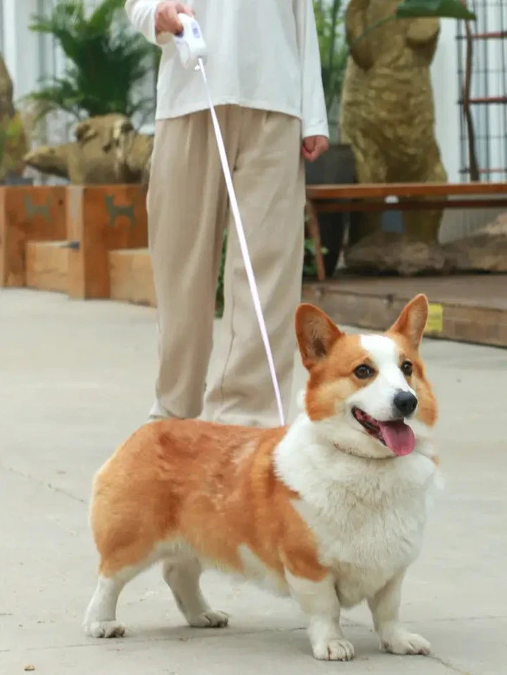 Automatic Extendable LED Dog Leash