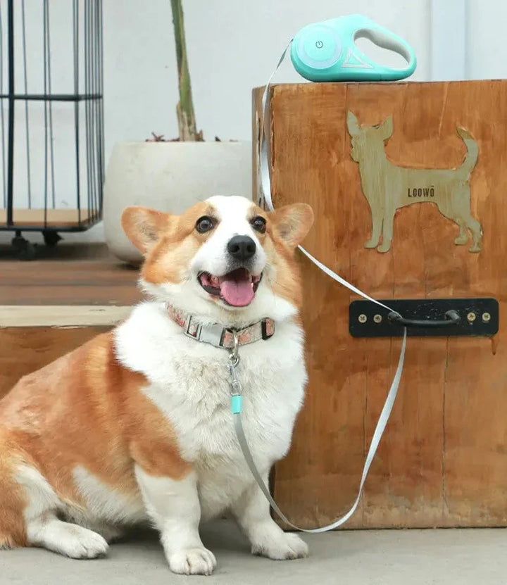 Automatic Extendable LED Dog Leash