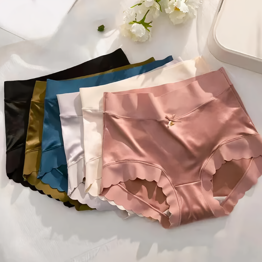 Zenovia | 5-Pack Seamless Silk Satin Women's Underwear