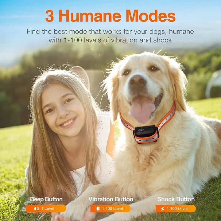 1000m Waterproof Dog Training Collar | Rechargeable Remote Control