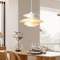 Classic & Modern Metal Ceiling Lamp for Living Room or Kitchen