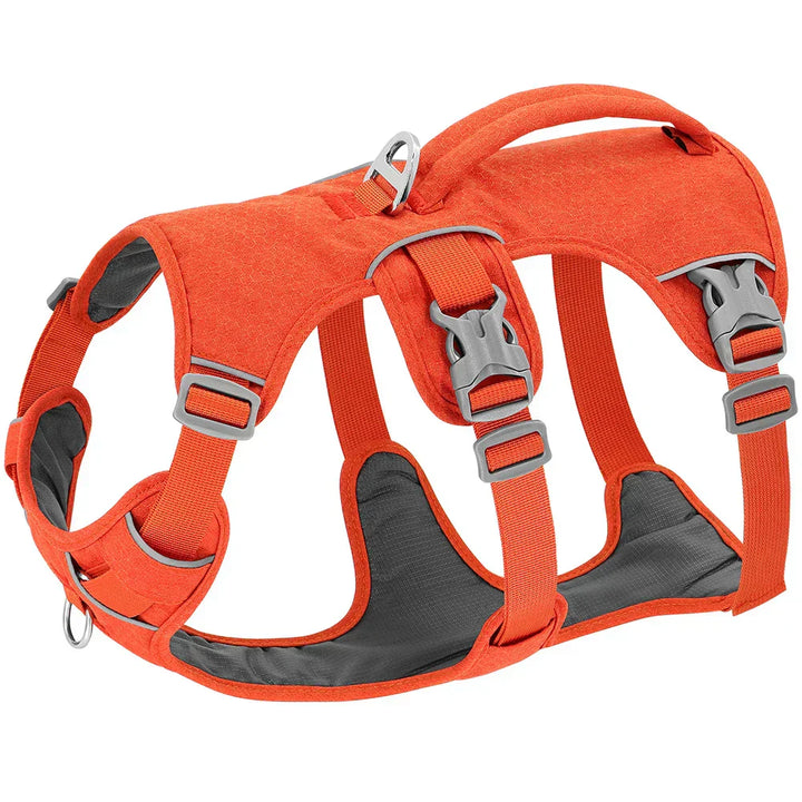 Adjustable & Breathable Safety Harness for Dogs