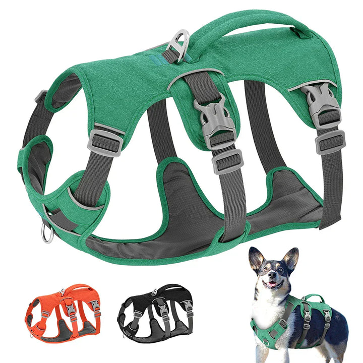 Adjustable & Breathable Safety Harness for Dogs