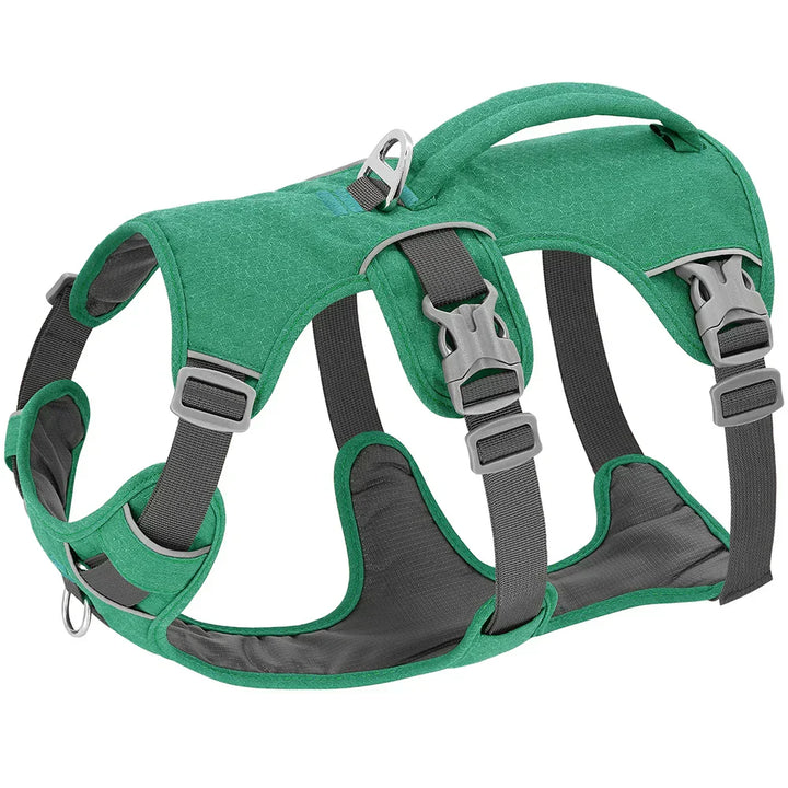 Adjustable & Breathable Safety Harness for Dogs