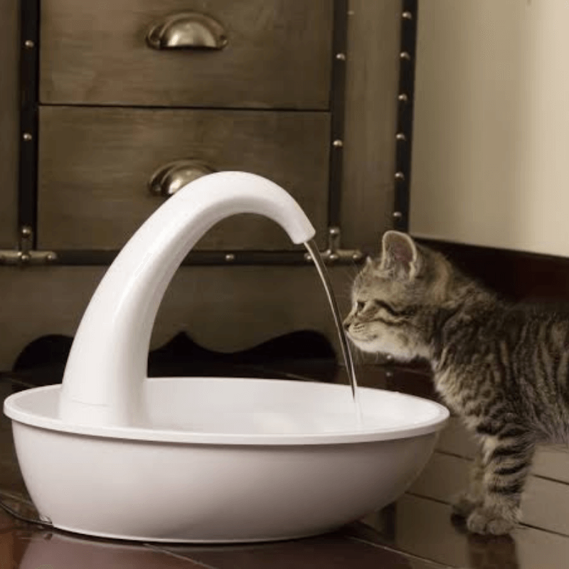 Premium Automatic Cat Water Fountain
