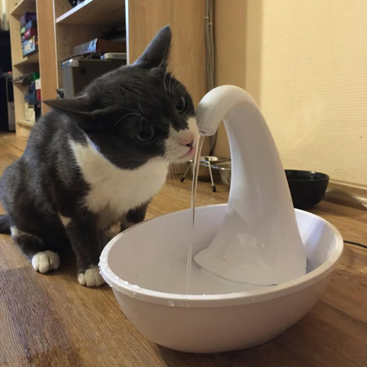 Premium Automatic Cat Water Fountain