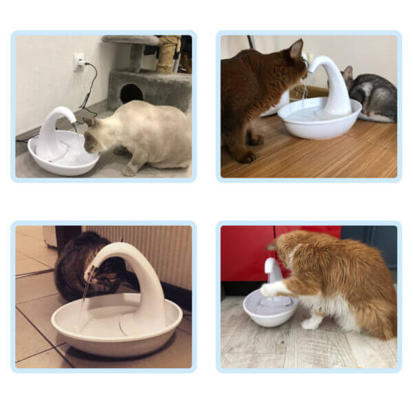 Premium Automatic Cat Water Fountain