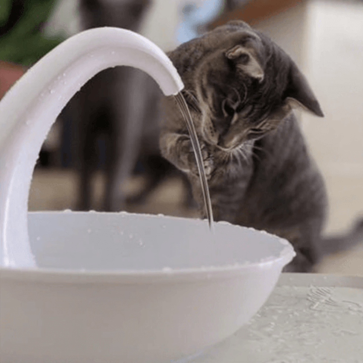 Premium Automatic Cat Water Fountain