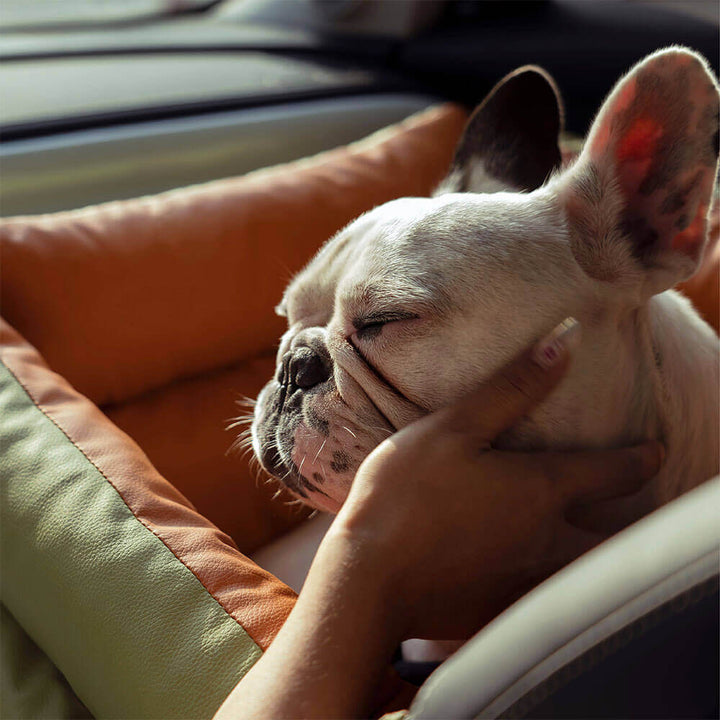 Luxe Dog Car Seat | Comfortable & Safe Travel Bed
