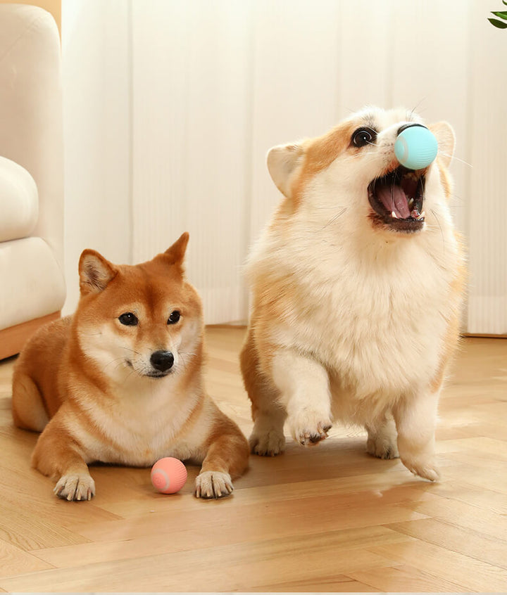 Smart Self-Rolling Interactive Pet Ball Toy