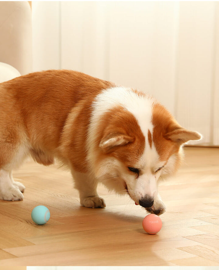 Smart Self-Rolling Interactive Pet Ball Toy