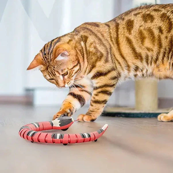 Smart Sensing Interactive Snake Toy for Cats & Small Dogs