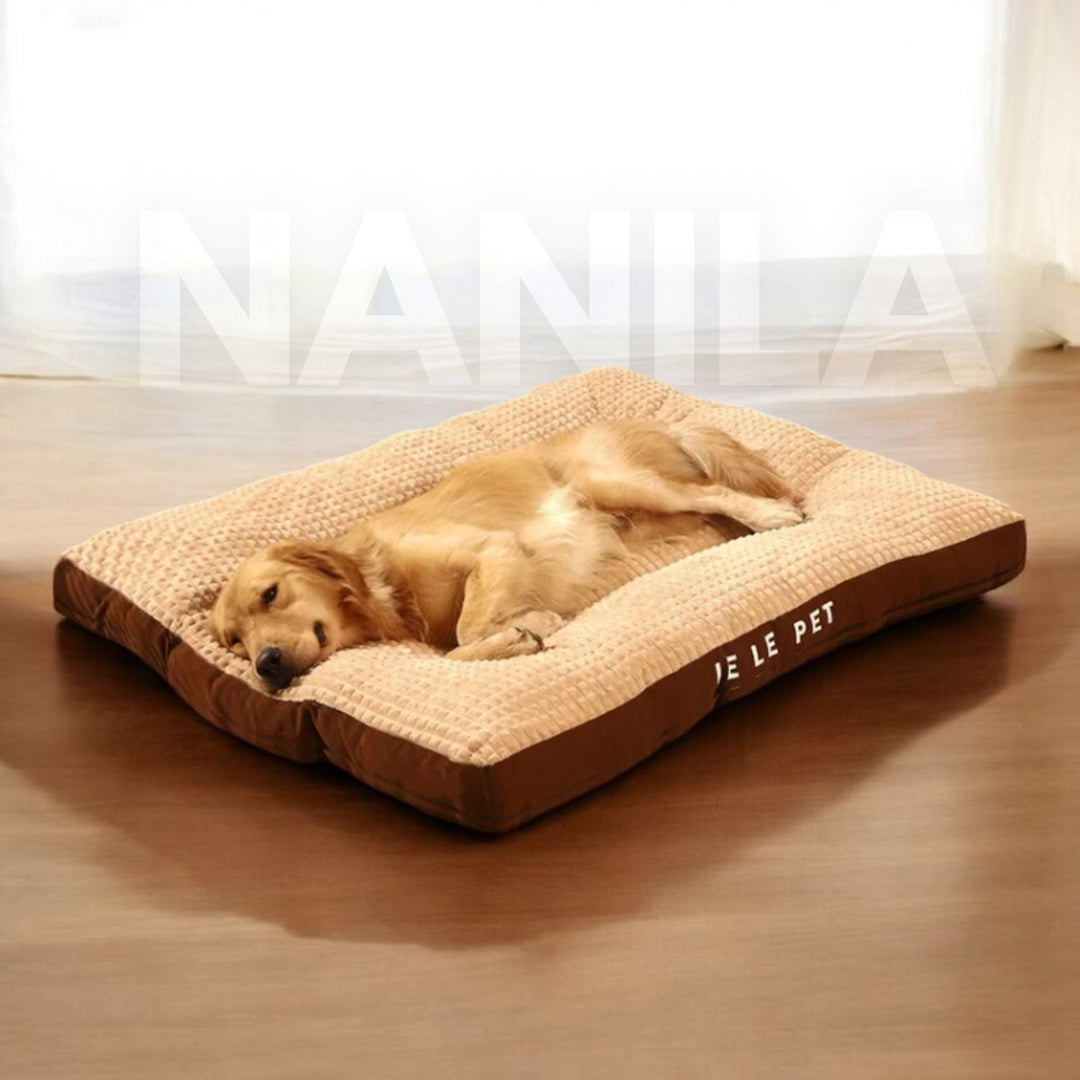 Dog Bed with Foam & Removable Cover | Durable Supportive Pet Mattress