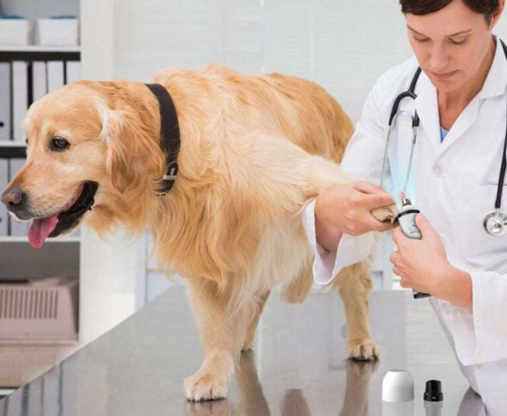 Electric Pet Nail Grinder
