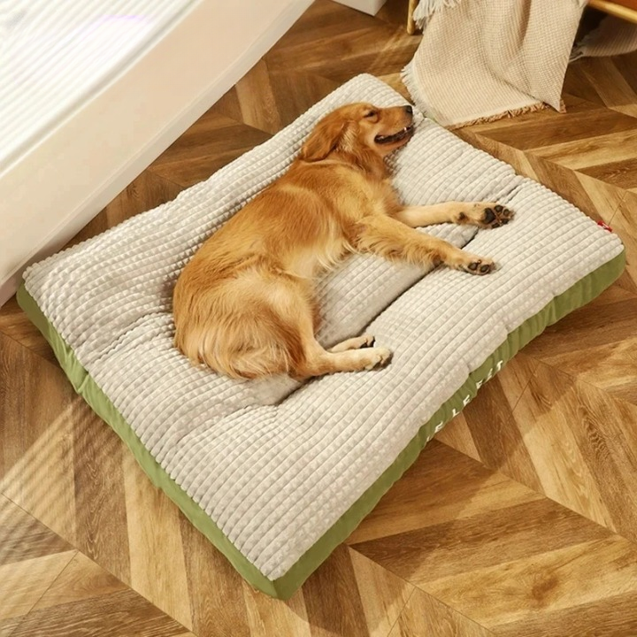 Dog Bed with Foam & Removable Cover | Durable Supportive Pet Mattress