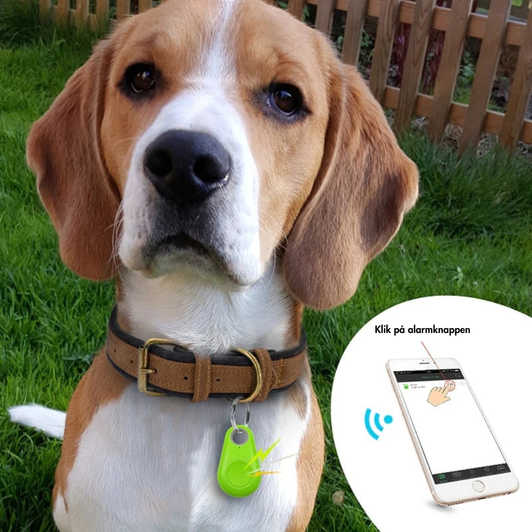 GPS Tracker | Real-Time Tracking for Kids, Pets & Valuables