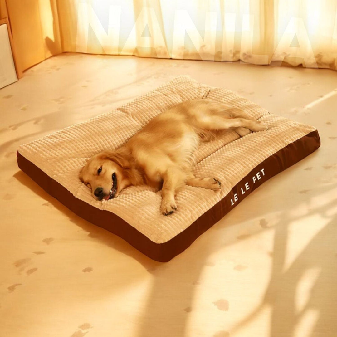 Dog Bed with Foam & Removable Cover | Durable Supportive Pet Mattress