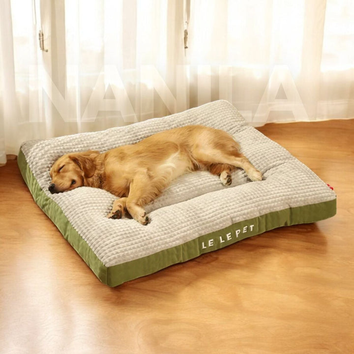 Dog Bed with Foam & Removable Cover | Durable Supportive Pet Mattress