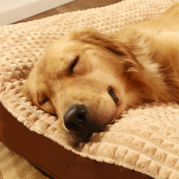 Dog Bed with Foam & Removable Cover | Durable Supportive Pet Mattress