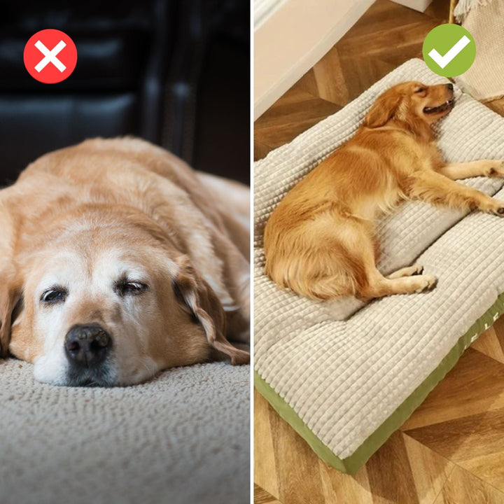 Dog Bed with Foam & Removable Cover | Durable Supportive Pet Mattress