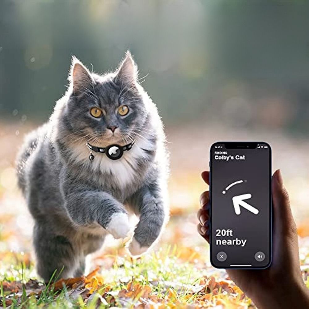 GPS Tracker Collar for Pets | Real-Time Location Tracking