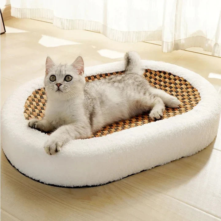 Cat Scratching Bed | Cozy Plush Scratcher for Cats