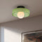 Contemporary Round LED Ceiling Light