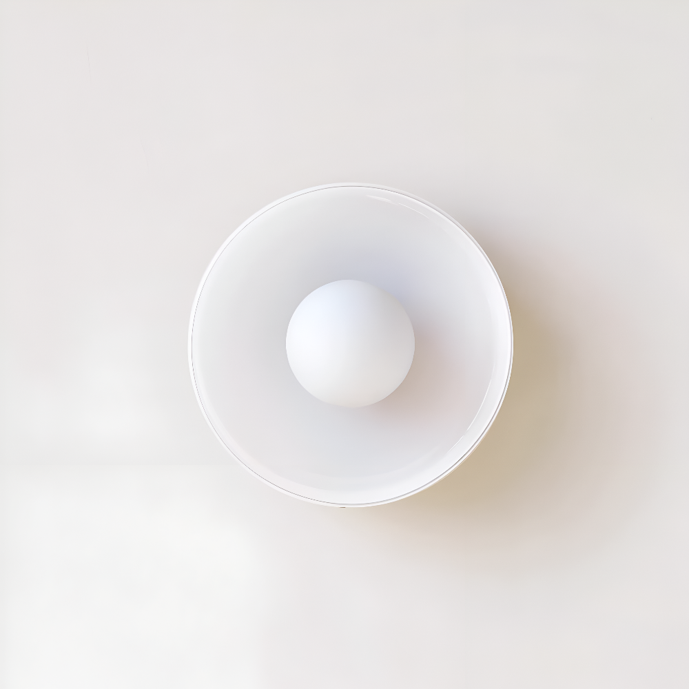 Contemporary Round LED Ceiling Light