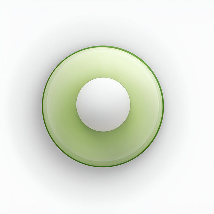 Contemporary Round LED Ceiling Light