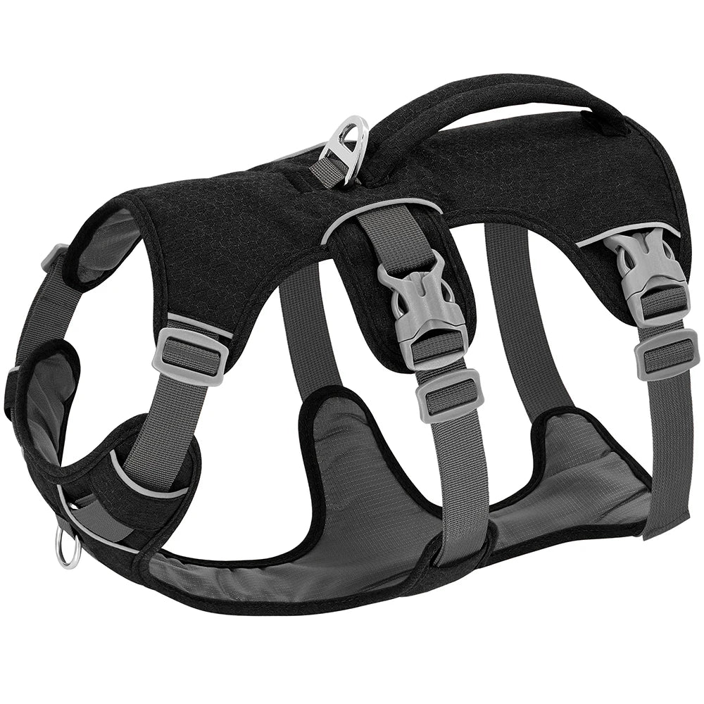 Adjustable & Breathable Safety Harness for Dogs