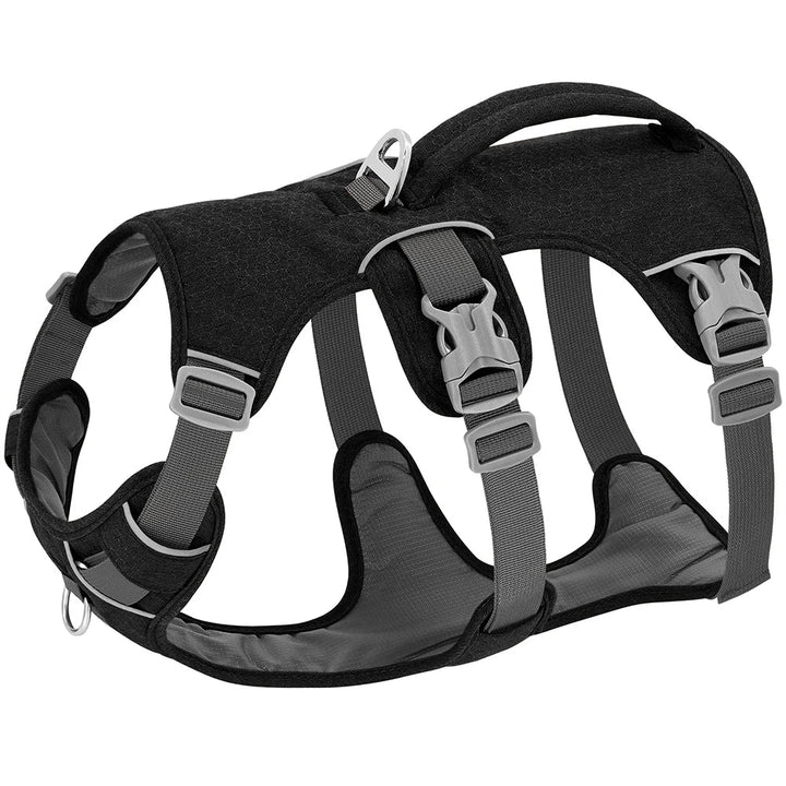 Adjustable & Breathable Safety Harness for Dogs