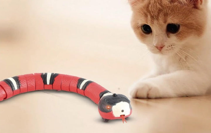 Smart Sensing Interactive Snake Toy for Cats & Small Dogs