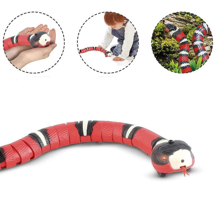 Smart Sensing Interactive Snake Toy for Cats & Small Dogs