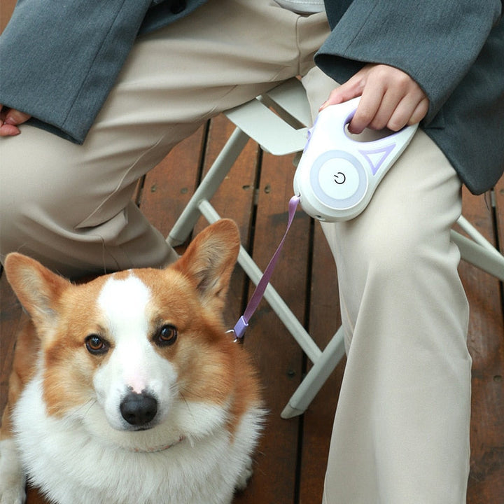 Automatic Extendable LED Dog Leash