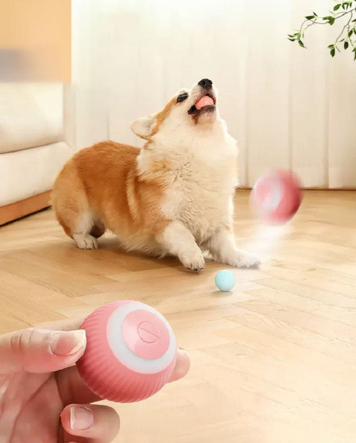 Smart Self-Rolling Interactive Pet Ball Toy