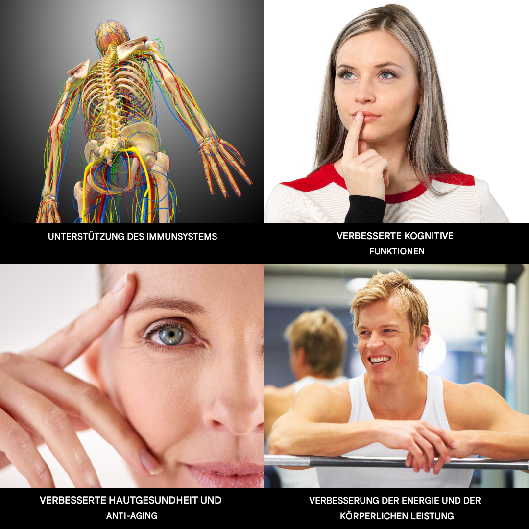 Nora | Hydrogen Water Bottle