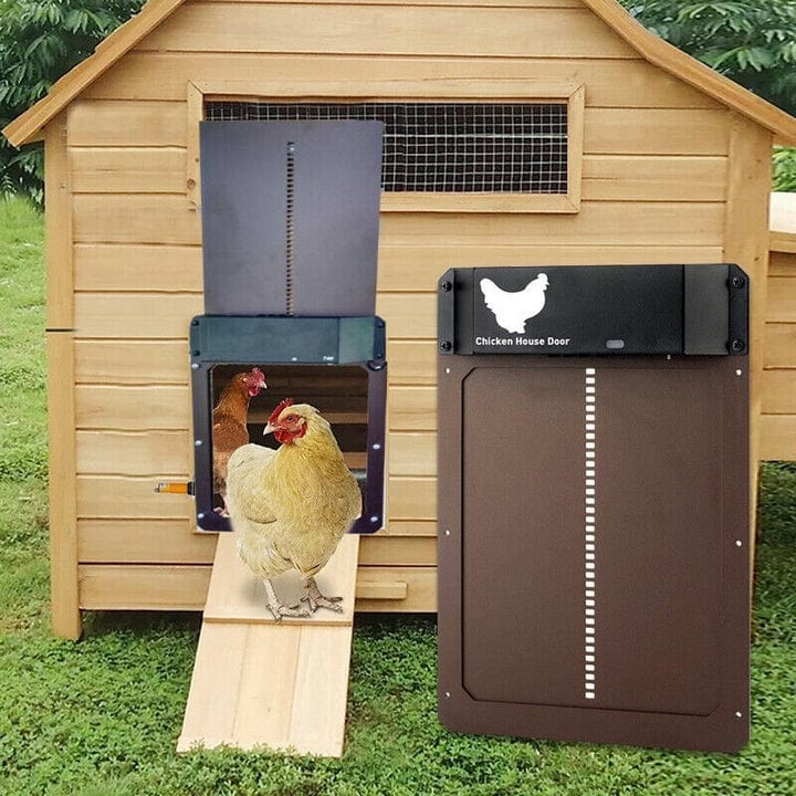 Automatic Chicken Coop Door | Secure & Easy Poultry Access