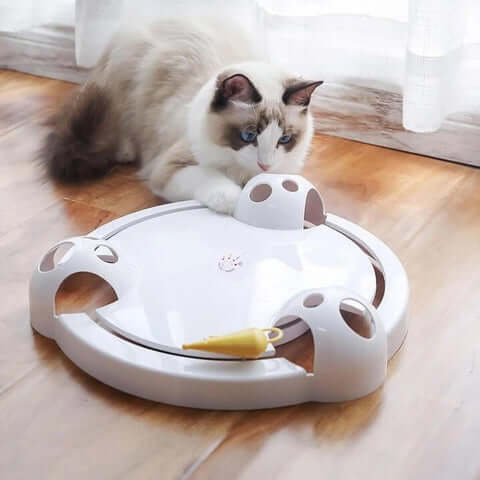 Interactive Automatic Pounce Cat Toy