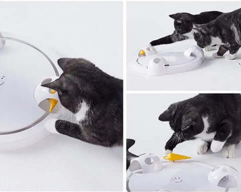 Interactive Automatic Pounce Cat Toy