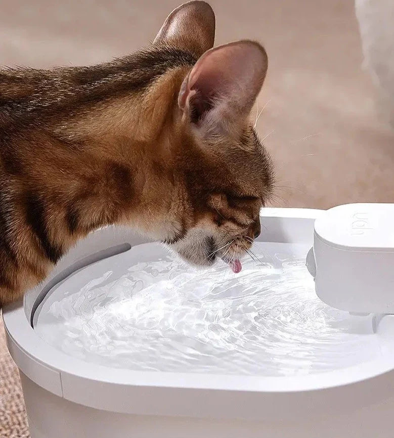 Smart Sensor Automatic Cat Water Fountain