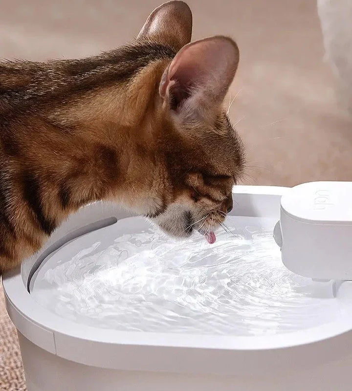 Smart Sensor Automatic Cat Water Fountain