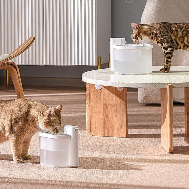Smart Sensor Automatic Cat Water Fountain