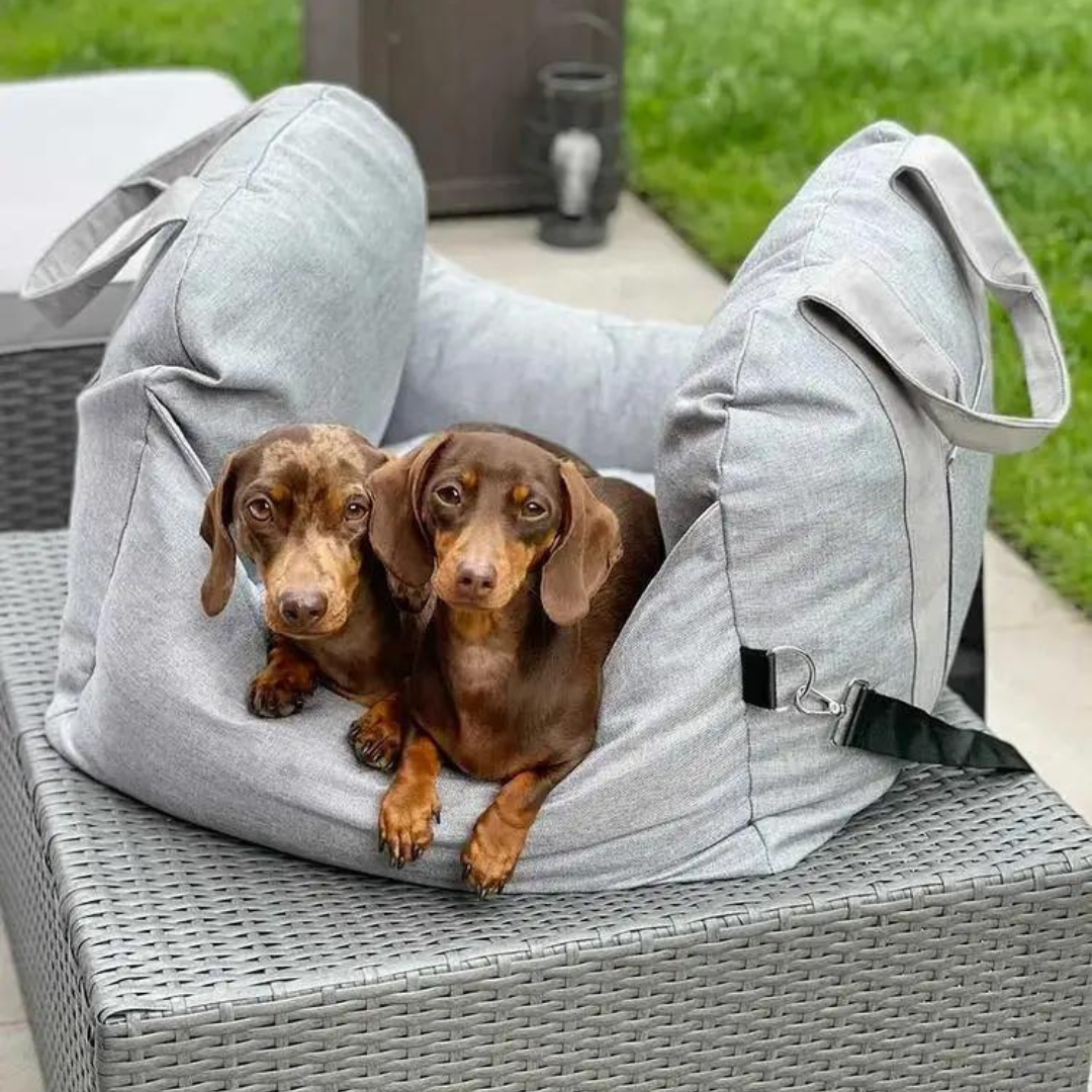 Portable Dog Booster Seat | Elevated Car Seat with Safety Belt
