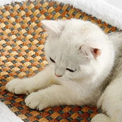 Cat Scratching Bed | Cozy Plush Scratcher for Cats