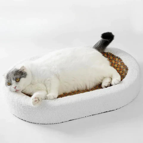 Cat Scratching Bed | Cozy Plush Scratcher for Cats